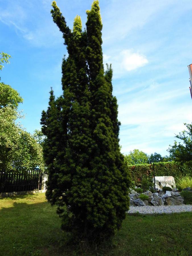 Sweet Dreams Apartment Varazdin Luaran gambar